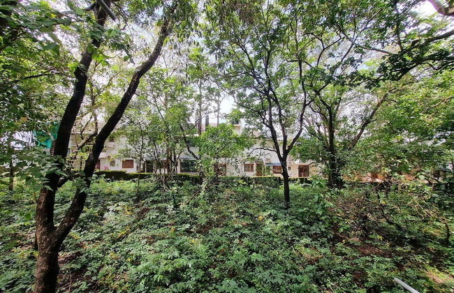 Apartment in Goa Near Stunning Beaches - Photo 33