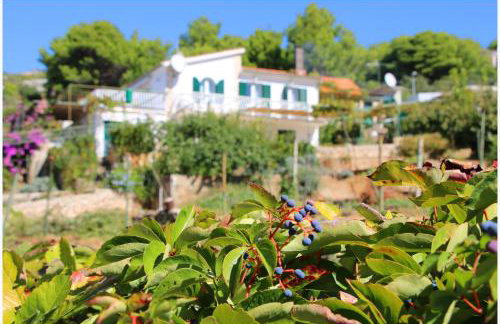 Apartment Katarina and house Marieta - Photo 44