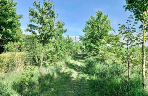 Le Domaine Réservé , parking et écrin de verdure - Foto 33