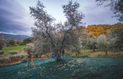 Agriturismo Bellofatto - Foto 29