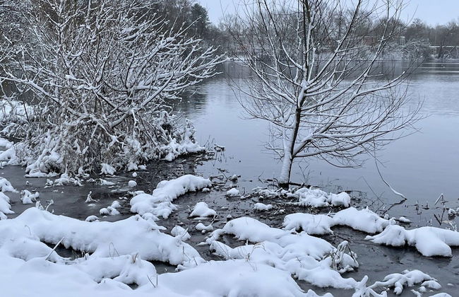 Flat in Eutin on the Kleiner Eutiner See Lake - Photo 46