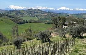 Al Poggio dei 4 Borghi - Foto 48