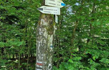Domek na Grządce - Foto 12