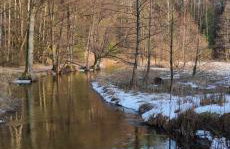 Zielony domek nad Marychą w Budwieć - Foto 47