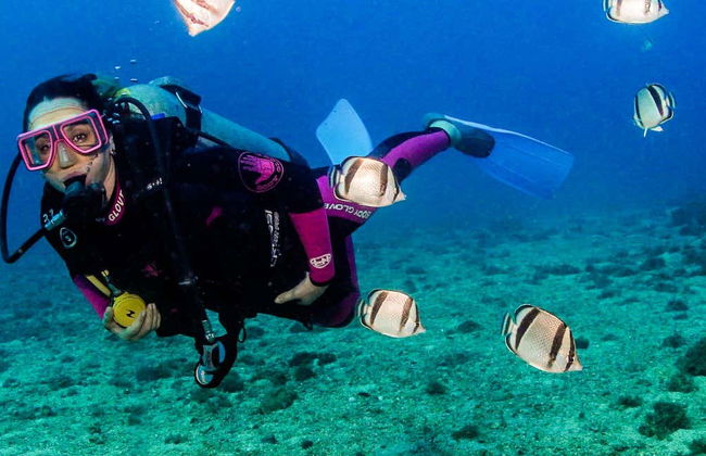 Las Caletas Scuba Diving Introduction - Foto 1