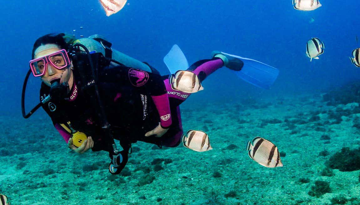 Las Caletas Scuba Diving Introduction - Foto 1