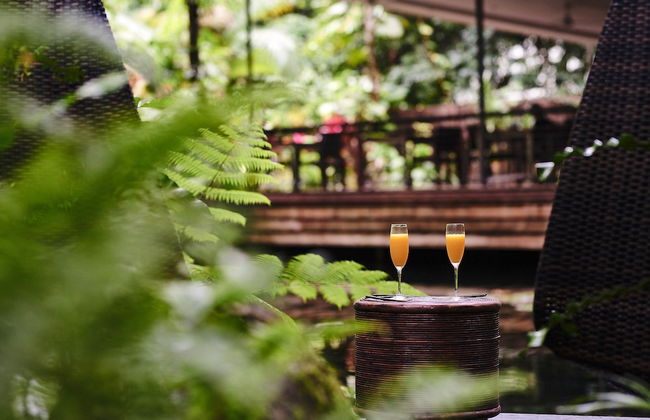 Daintree Ecolodge - Photo 47