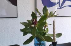 Odenwald Lounge im Naturpark Bergstraße-Odenwald - Photo 34