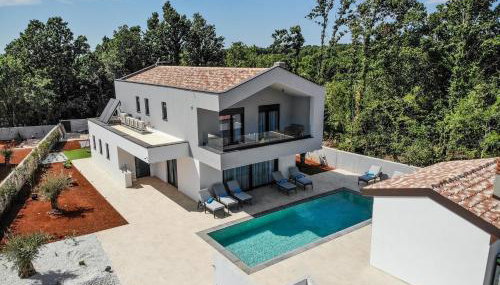 Villa Istra Relax Diamond - Foto 2, Garden, sunbed, Garden view