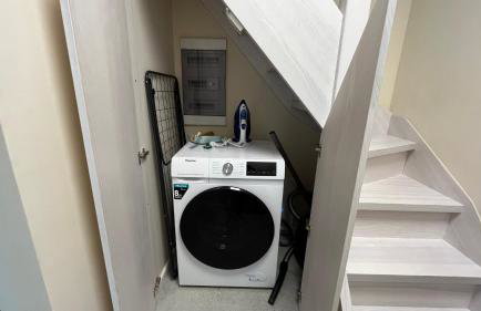 Raj na Kaszubach - Pałubicka Bór - Domy na Wynajem - Foto 67