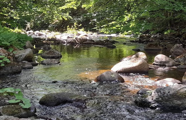 Ferienhaus in Schierke for 8 Personen - Photo 31