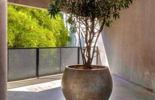 Loft Blumenau - Foto 6