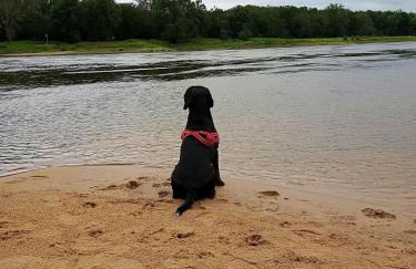 Turmblick Gästequartier Coswig: Hier erwartet Sie individueller Service im Herzen der Altstadt. - Foto 30