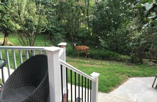 3 Acre Lake Paradise Swimming Pool & Jacuzzi HotTub! - Foto 53