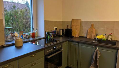 Maison de Chasse Karlsbrunn - Foto 3, stove, dishwasher, minibar