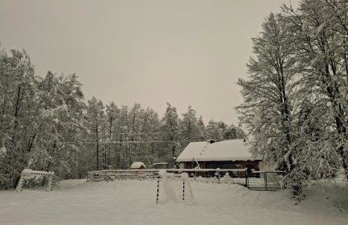 Domki nad potokiem - Foto 23