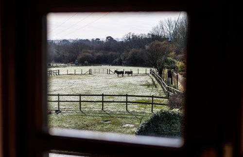 Purbeck View - Uk36320 - Photo 4