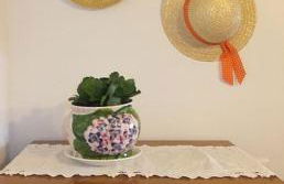 Grande Tranquilidade - Photo 8