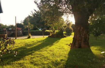 Borgo Patierno Agristor Country House - Foto 59