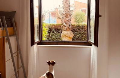 Casa GIO' GIO' Borgo San Basilio - Foto 22