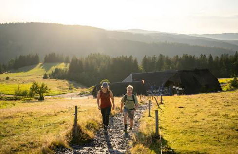 Ferienhaus Wendelhof - Foto 10