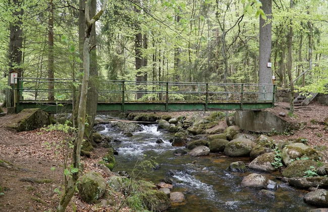 Holiday Homes in the Schierke Harzresort, Schierke - Photo 76