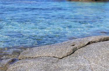 Villa Orchidea - Foto 10