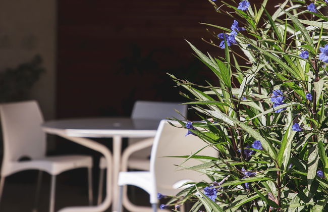 Paradise Departamentos - Foto 2