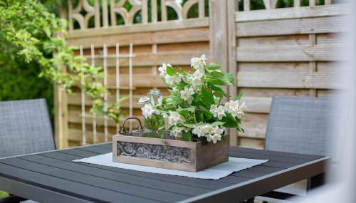 Fehmarn-Ostseeferien Apfelblüte 199 1 - Foto 2