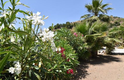 Casa Margaritha - montañas y tranquilidad - Foto 39