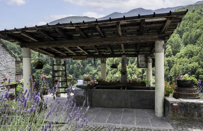 Il Gianlupo Grigio - Foto 30