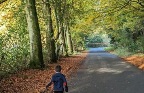 Luxurious Georgian Town House - Foto 37