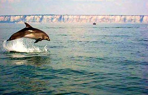 la villa mersoise - Foto 22