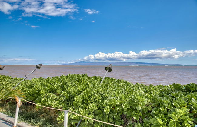 Vacasa at Hotel Molokai - Foto 33