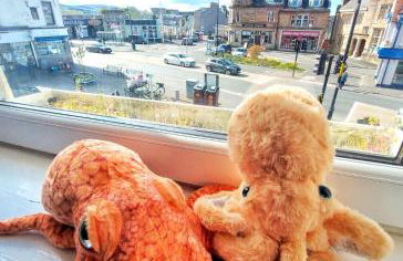 The Octopus - at Largs Town Centre with Private Parking - Foto 11