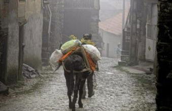 Casa da Fonte em Prada, Vinhais - Foto 44