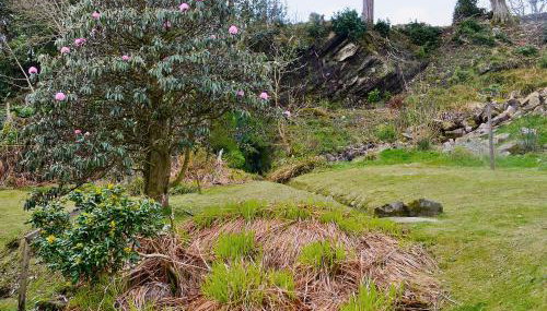 Crubisdale - Foto 4, Garden