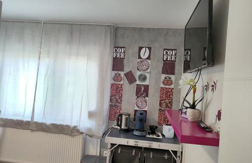 Ferienwohnung Rhein-Main II - Foto 25