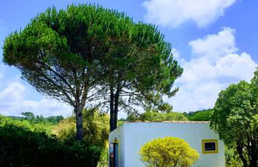 Sondela Self Catering - Foto 14