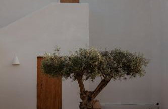 Estel Formentera - Foto 8