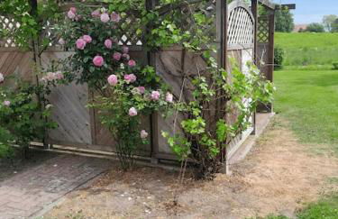 FeWo Mecklenburgische Schweiz - Foto 8