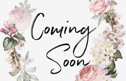 Spacious Family Friendly Backyard Retreat - Photo 1