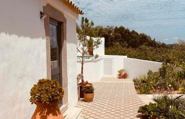 Casa na Colina : The Cottage and The Long House - Foto 10