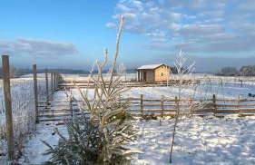 Brzozowisko Zalewo - Foto 5