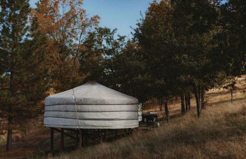 Cosy yurt at a nature retreat in CA - Foto 2