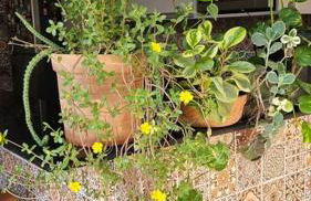 Ôxente que lugar arretado! - Photo 73