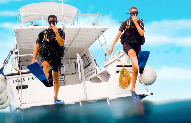 Scuba Diving in Cozumel - Photo 3