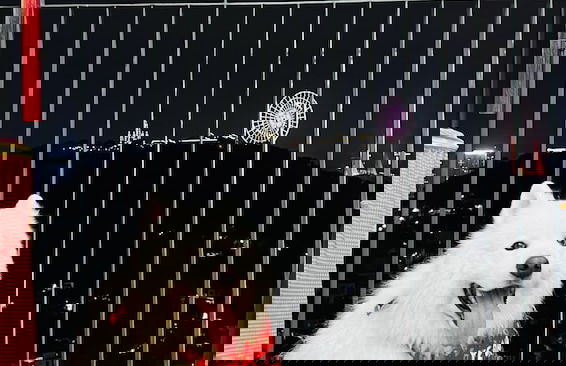 MonHomestay Ha Long-Amazing view balcony - Foto 20