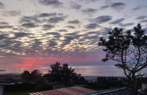 Je m'y plais - Foto 43