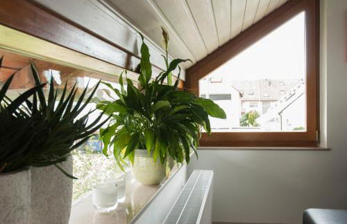 Briem Wohngefühl Vermietung - Foto 15